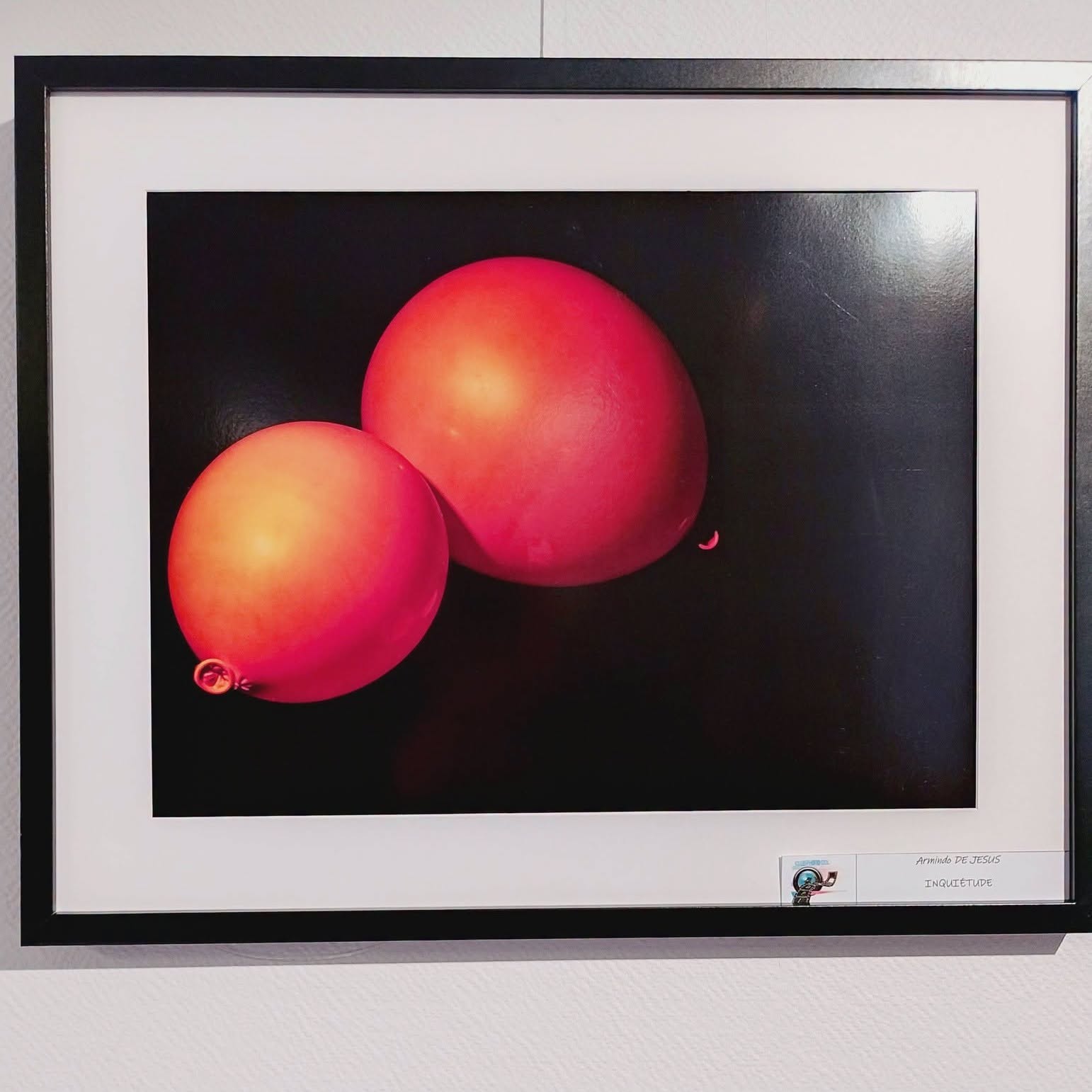 expo 18 09 2026 dpi. tableau ballon