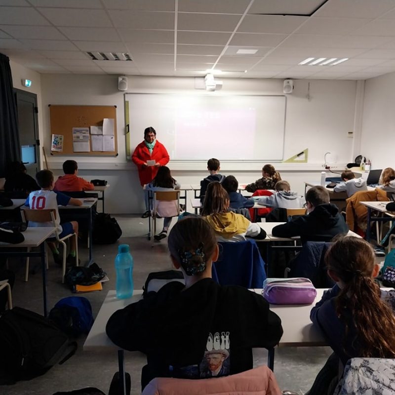 sylvie pigeon dictee au college